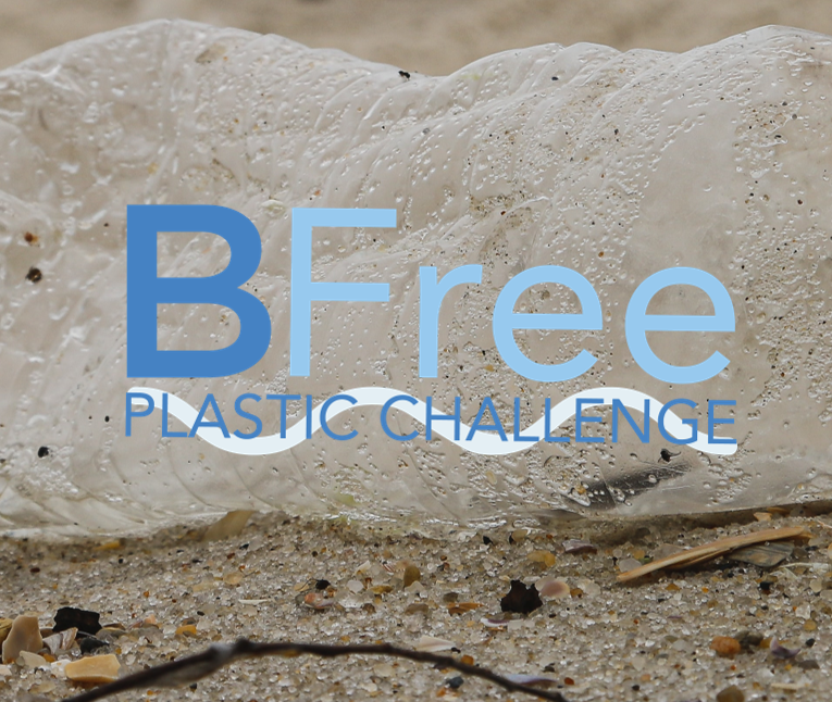 B FREE - PLASTIC CHALLENGE